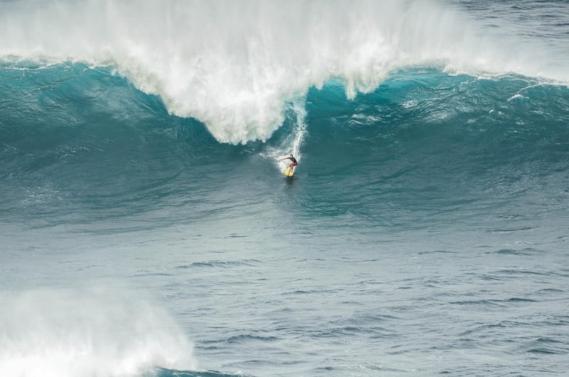 Thrill-seeking